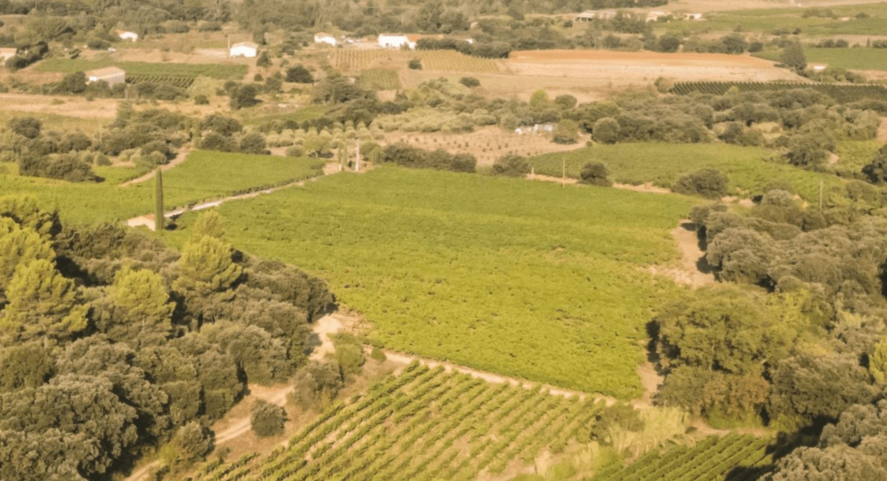 Domaine Mas Laval